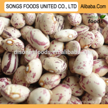 Health Foods of Speckled Kidney Beans